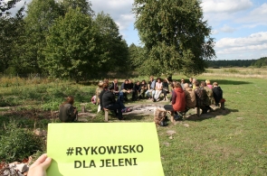 „Rykowisko dla jeleni, nie dla myśliwych” – już 5 raz zapraszamy do Puszczy Białowieskiej