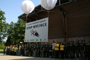Stop wycince, 2009