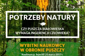 Podsumowanie konferencji naukowej „Potrzeby natury. Czy Puszcza Białowieska wymaga ingerencji człowieka?”