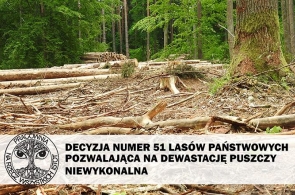 Polskie sądy za obroną Puszczy Białowieskiej!