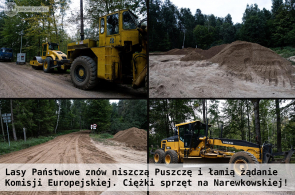 Lasy Państwowe nie respektują żądania Komisji Europejskiej ws. Puszczy Białowieskiej – asfaltują Puszczę i zacierają ślady