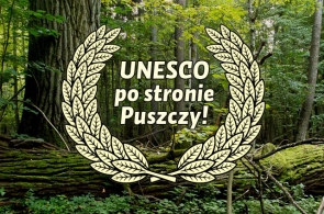 UNESCO za ochroną Puszczy Białowieskiej mimo nacisków ze strony ministerstwa i Lasów Państwowych