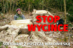 Obywatelski Spacer po Puszczy Białowieskiej