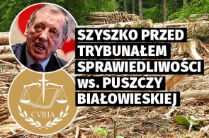 Komisja wnioskuje o nałożenie kar finansowych w związku z nielegalną wycinką w Puszczy Białowieskiej