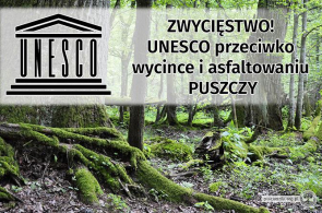 Dzisiejsza decyzja UNESCO to jednoznaczna niezgoda na dalszą eksploatację Puszczy Białowieskiej