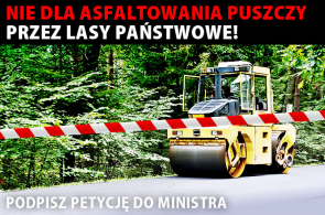 Petycja do Ministra Środowiska przeciwko asfaltowaniu Puszczy Białowieskiej!