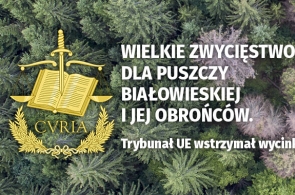 Trybunał Sprawiedliwości zakazał wycinki w Puszczy Białowieskiej
